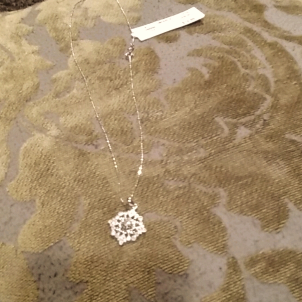 Sliver Pentdant with Amethyst in the center.